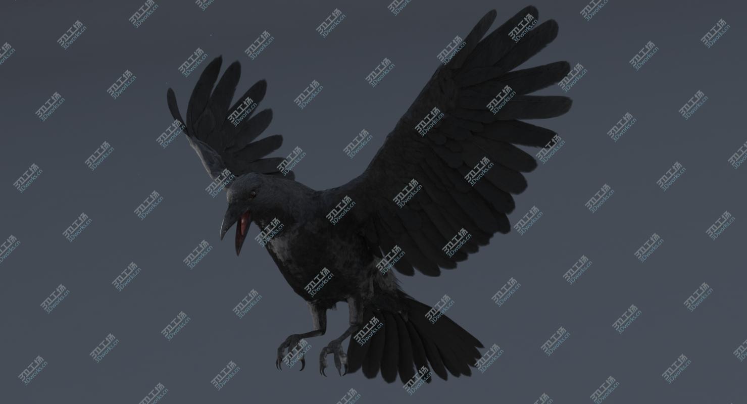 images/goods_img/20210113/3D Crow Rigged model/3.jpg